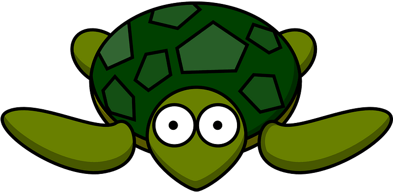 Cartoon Turtle Clipart - Turtle Cartoon Transparent Background - Png Download (800x400), Png Download