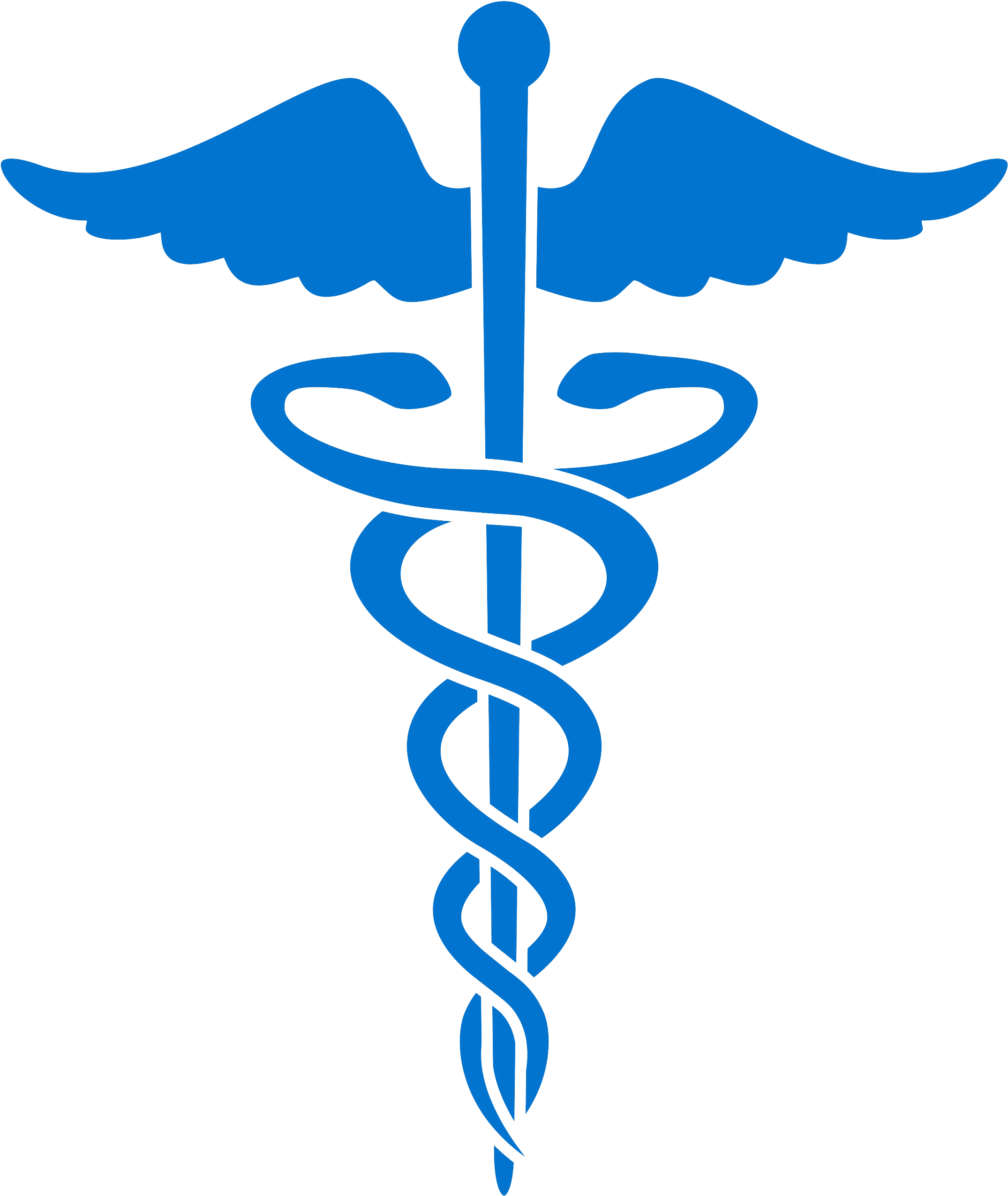 Medicare Logo Png - Medical Logo Clipart (2232x2632), Png Download
