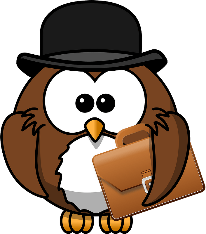 Owl In A Hat Clipart - Cartoon Owl With Hat - Png Download (713x800), Png Download