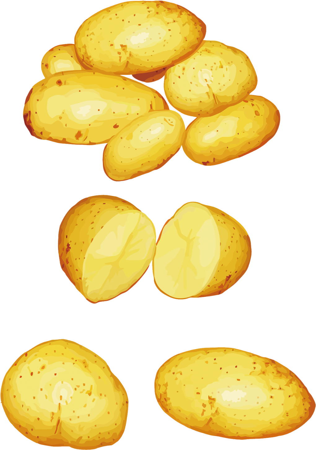 Potatoes Png Clipart - Potato Verdura Dibujo Transparent Png (1020x1454), Png Download