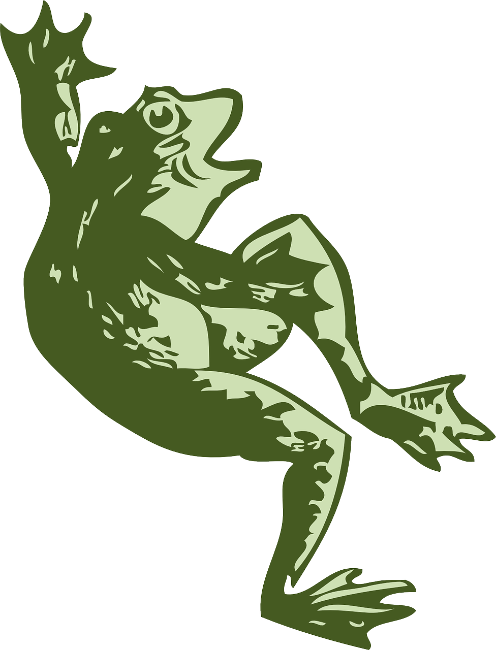 Dancing Frog - Clipart Dead Frog - Png Download (600x600), Png Download