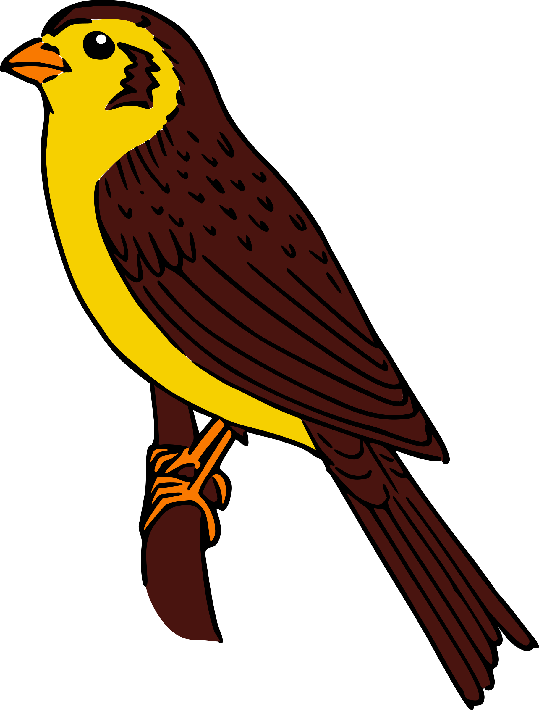 Colored Big Image Png - Sparrow Color In Drawing Clipart (1823x2400), Png Download