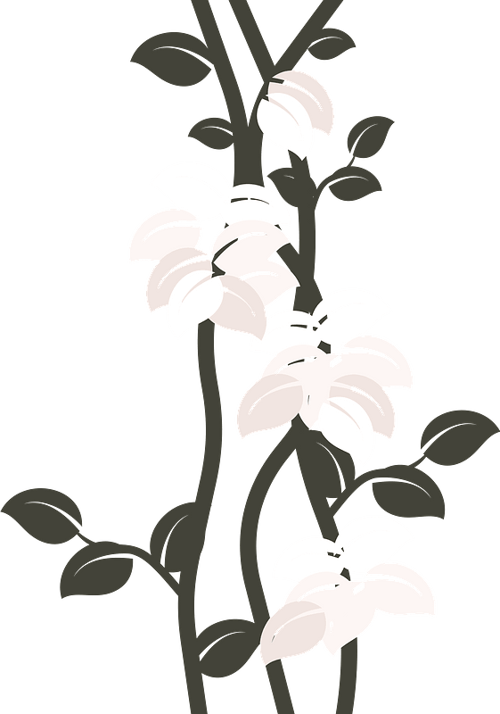Flowers Clipart - Illustration - Png Download (561x800), Png Download