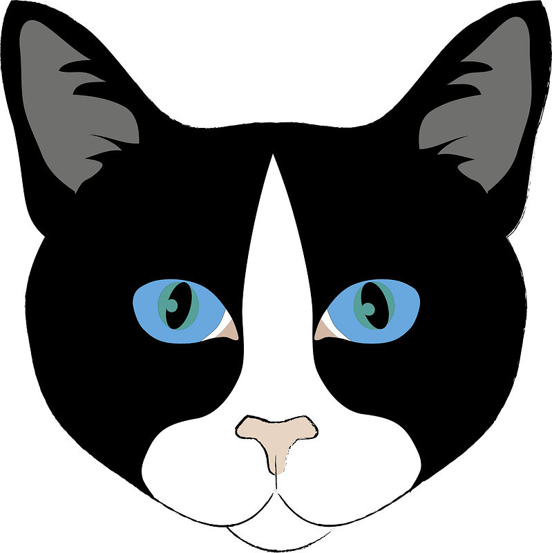 Blue-eyed Cat Face Clipart - Cat - Png Download (799x800), Png Download