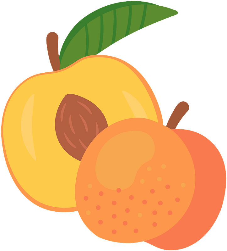 Peach Clipart - Png Download (631x690), Png Download