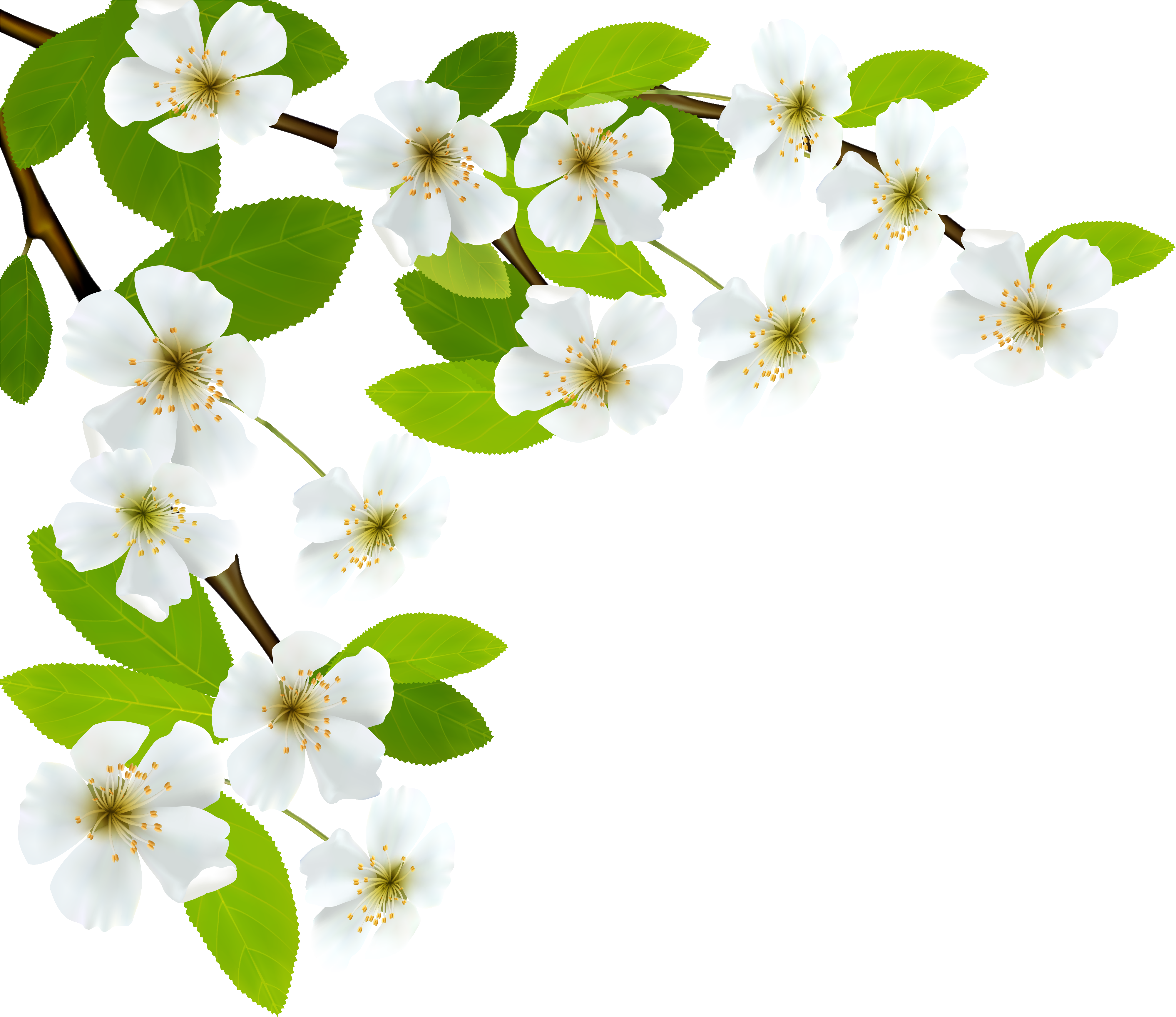 Blossoming Of The Cross Clipart Vector Transparent - Psalm 34 V 8 Kjv - Png Download (4088x3680), Png Download