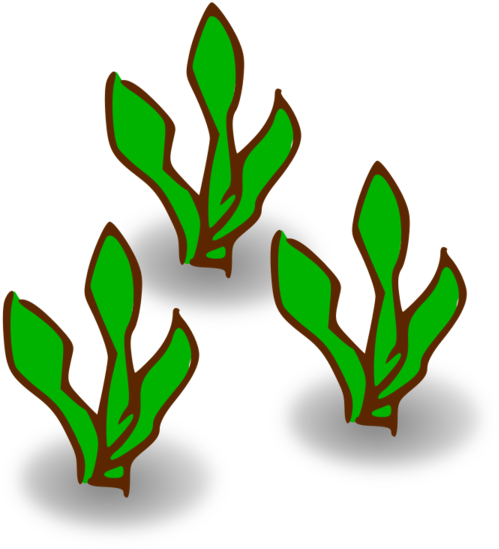 Transparent Family Leaf Plant Flower Clipart For People - Kelp Clipart - Png Download (600x600), Png Download