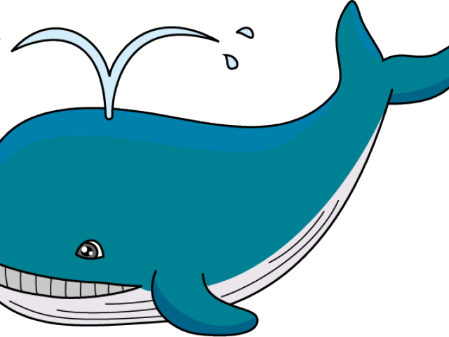 Whale Clipart - Png Download (640x480), Png Download