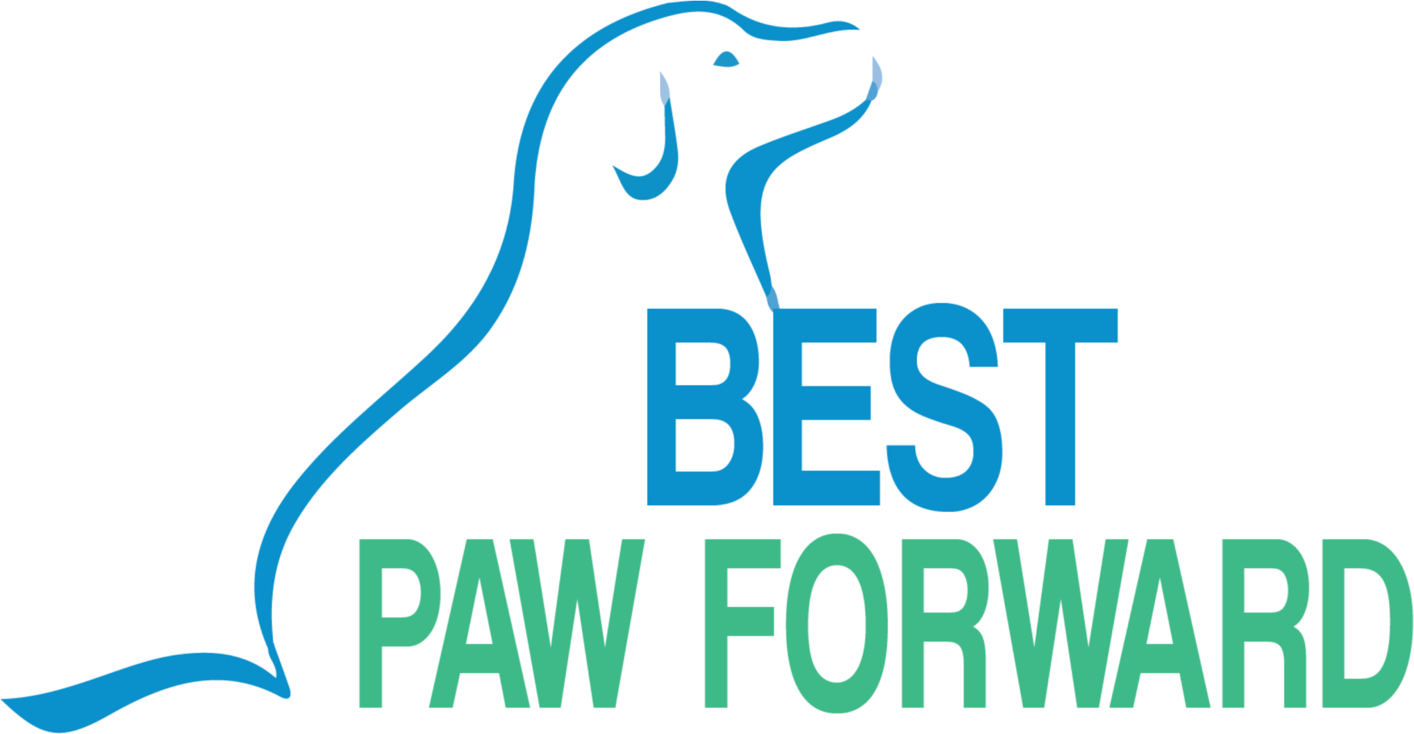 Clipart Dog Training Banner Freeuse Download Obedience - Png Download (2048x1104), Png Download