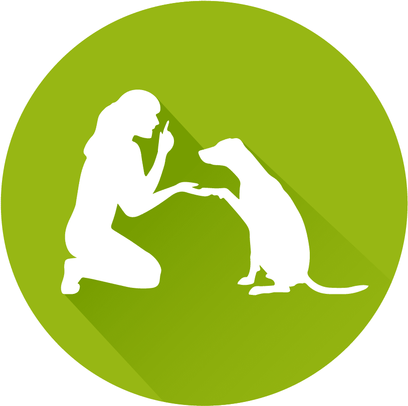 Dog Clipart (886x886), Png Download