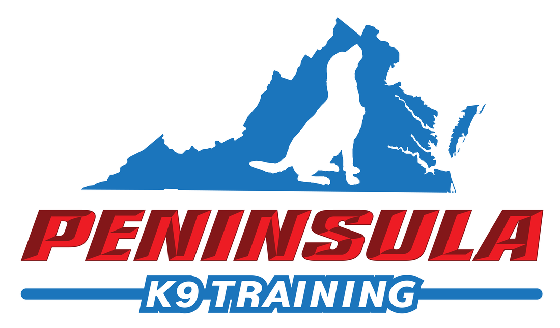 Picture - Graphic Design Clipart (1100x646), Png Download