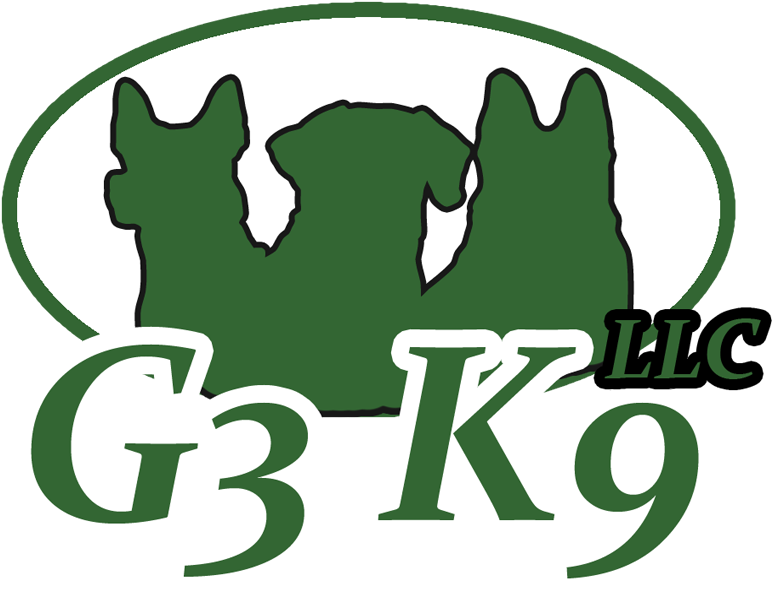 Emblem Clipart (1200x1000), Png Download