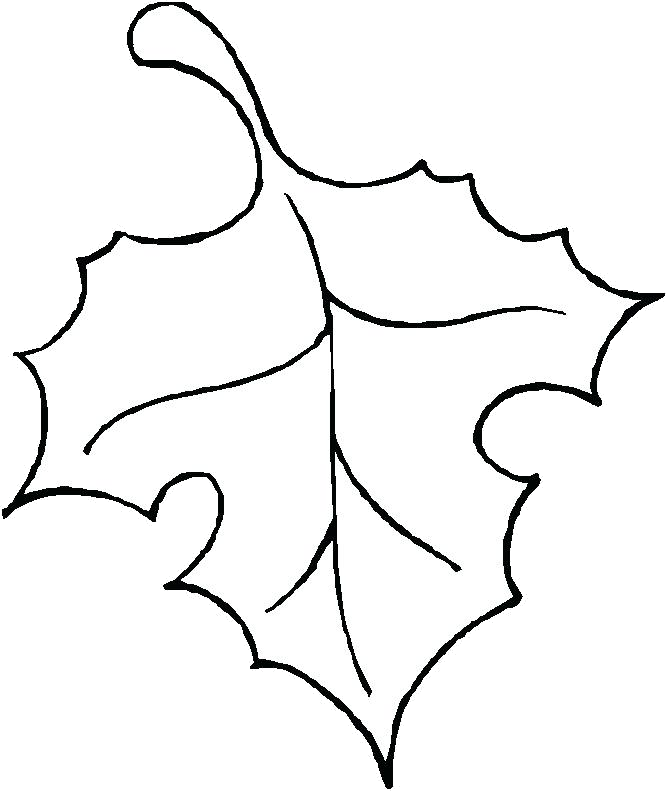 Leaf Outline Stencils Printable Template Ideas Only - Art Stencils Simple Clipart (666x791), Png Download