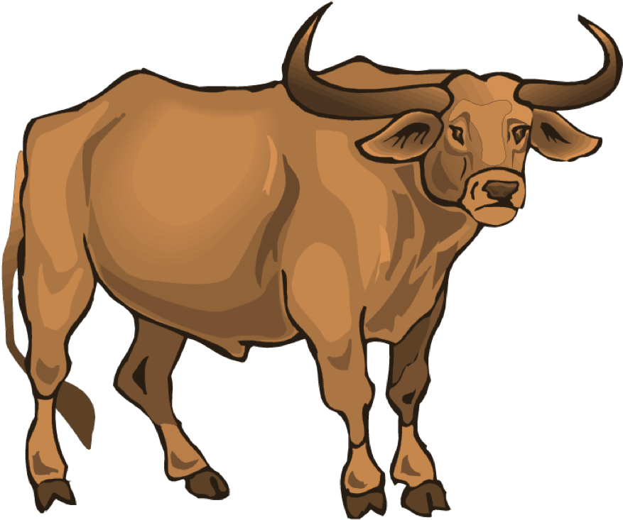 Lost Creek Longhorn - Cebun Animado Png Clipart (900x747), Png Download