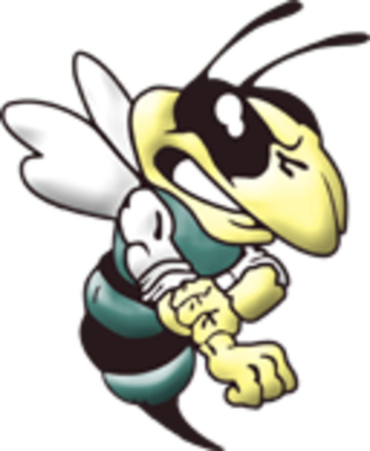 Hornet Clipart Wellsboro - Png Download (720x878), Png Download