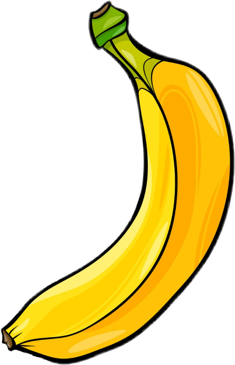 Banana Cartoons Clipart (480x743), Png Download