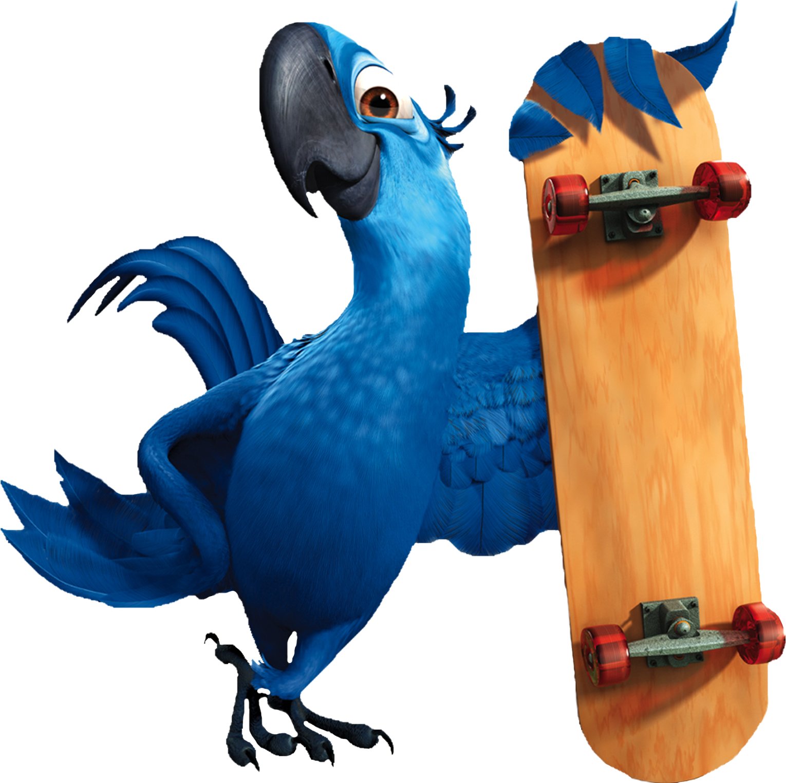 Rio Movie Png Clipart (1600x1600), Png Download