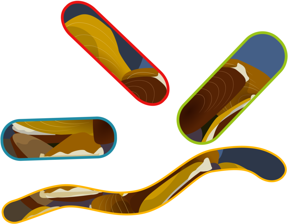 Illustration Clipart (1024x769), Png Download