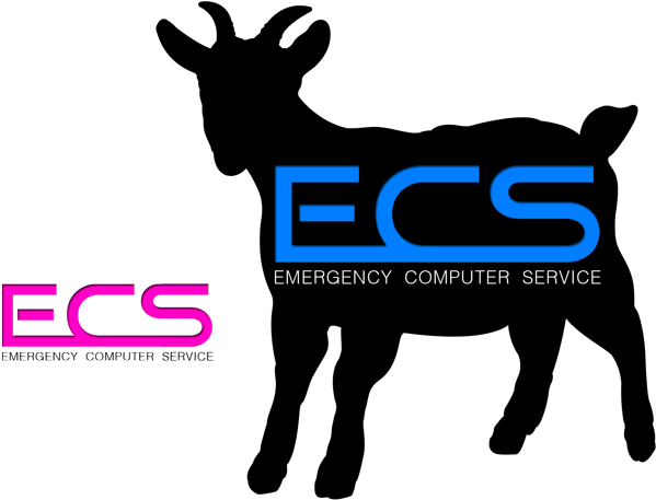 Clip Art - Png Download (675x465), Png Download