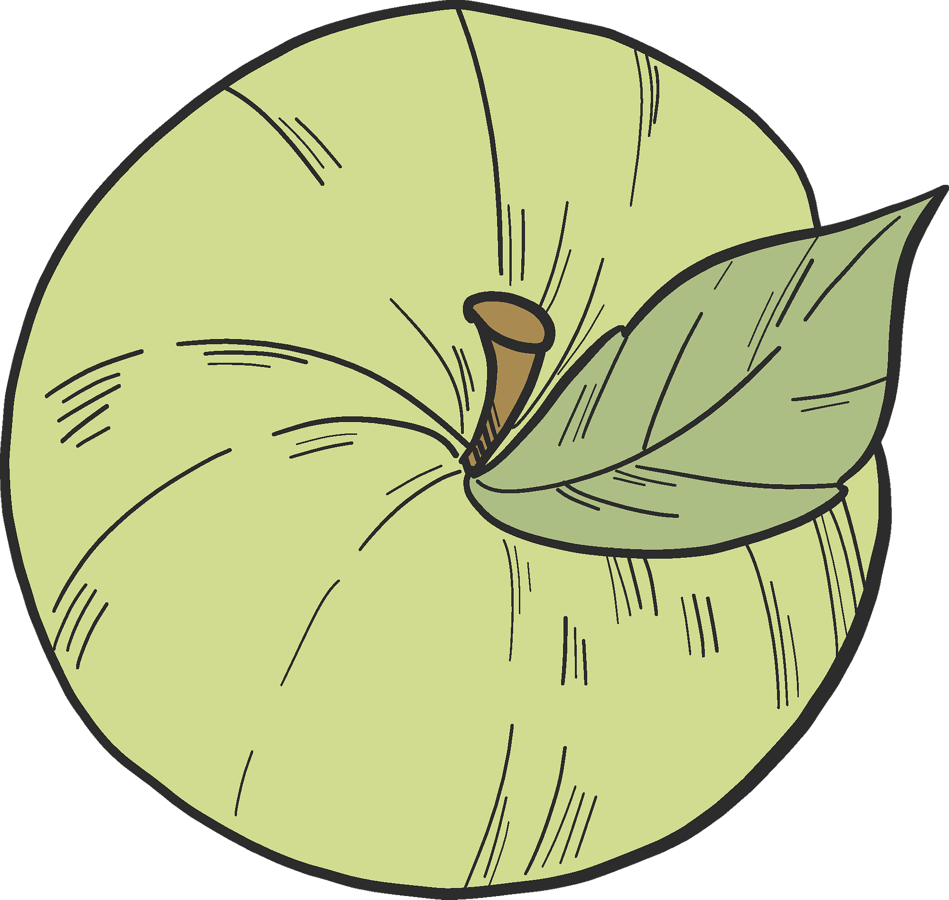 Green Apple Clipart - Fruit - Png Download (800x759), Png Download