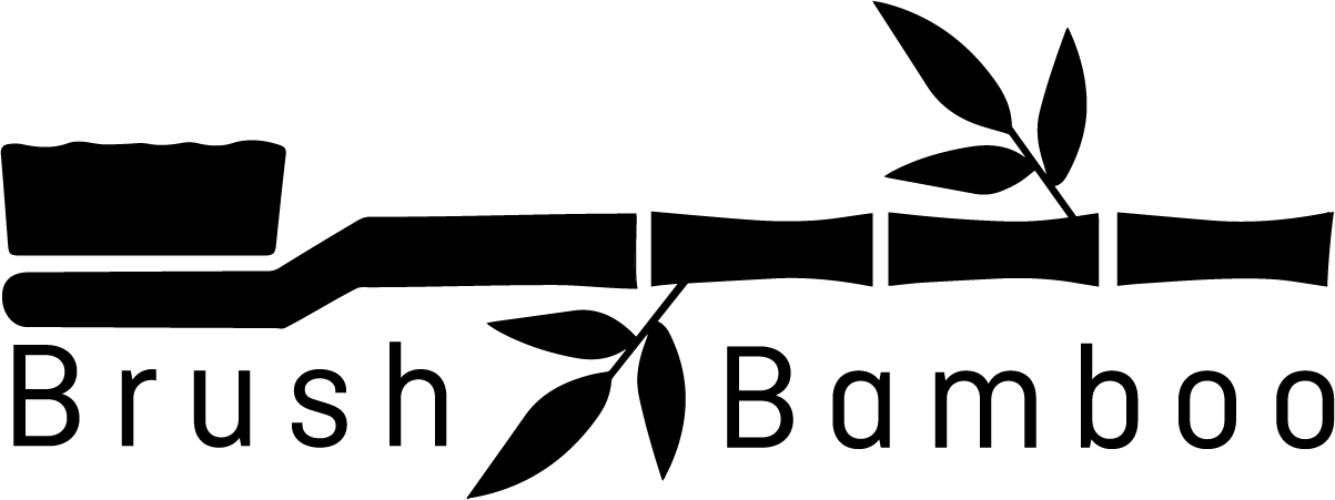 Brush Bamboo Clipart (1203x451), Png Download