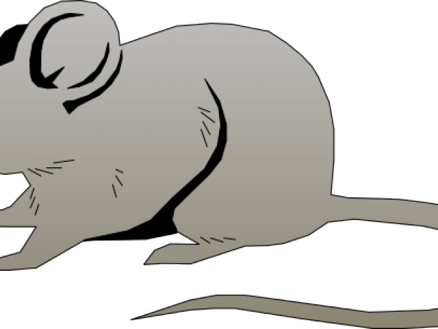 Cartoon Rat Pictures - Mouse Clipart - Png Download (640x480), Png Download