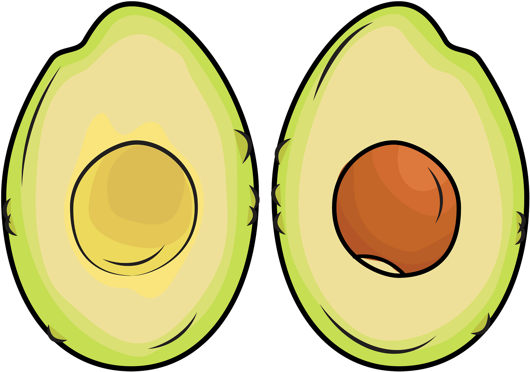 Circle Clipart (1920x1389), Png Download