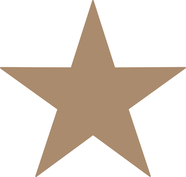 Brown Star Clipart - Png Download (600x571), Png Download