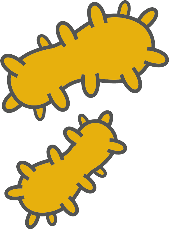 Bacteria Clipart (901x901), Png Download