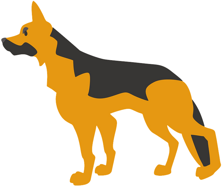 German Shepherd Clipart - Dog Vector - Png Download (800x682), Png Download
