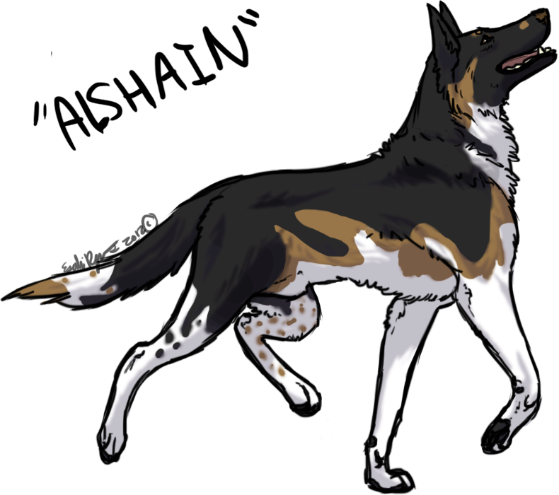 Collection Of Free Dogs Drawing German Shepherd Download - German Shepherd Drawings Of Dogs Clipart (790x700), Png Download