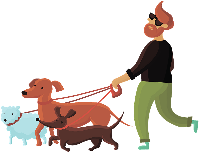 volunteer-walking-dogs-clipart-cartoon-png-download-full-size