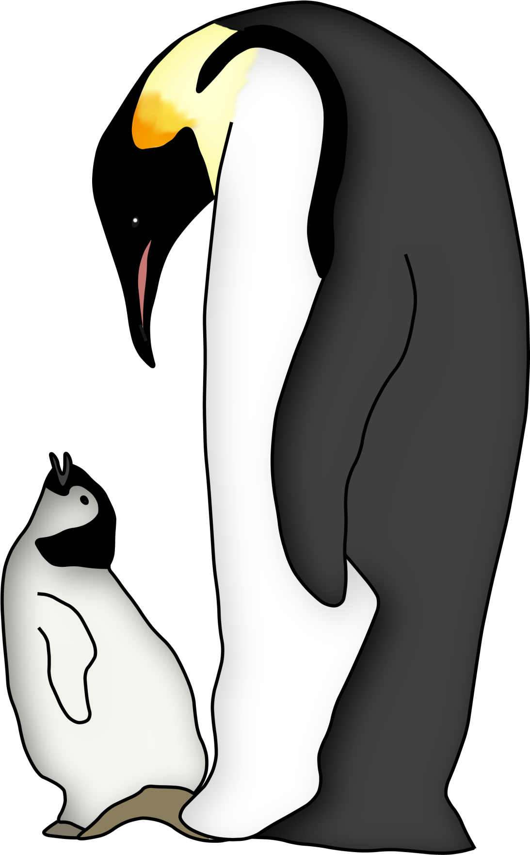 Emperor Penguin Clipart Group Penguin - Penguin Life Cycle Books - Png Download (1093x1762), Png Download