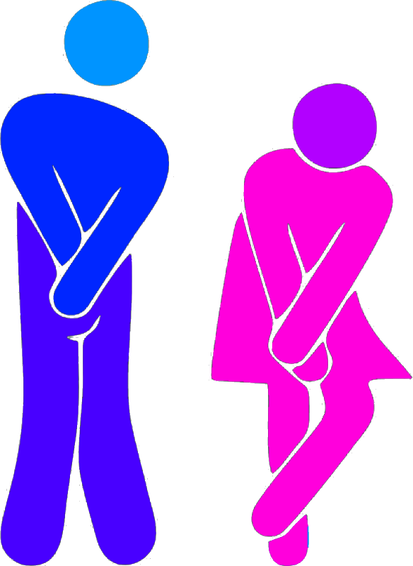 Toilet Signs Clipart (584x799), Png Download