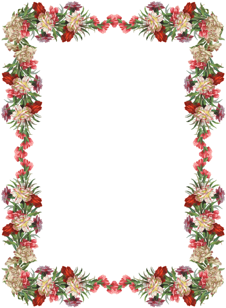 Vintage Flower Border Clipart - Flower Frame Transparent Background - Png Download (738x1000), Png Download