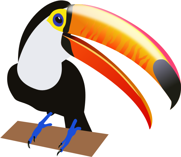 Drawing Of A Tropical Bird - Toucan Clipart Transparent Background - Png Download (600x600), Png Download