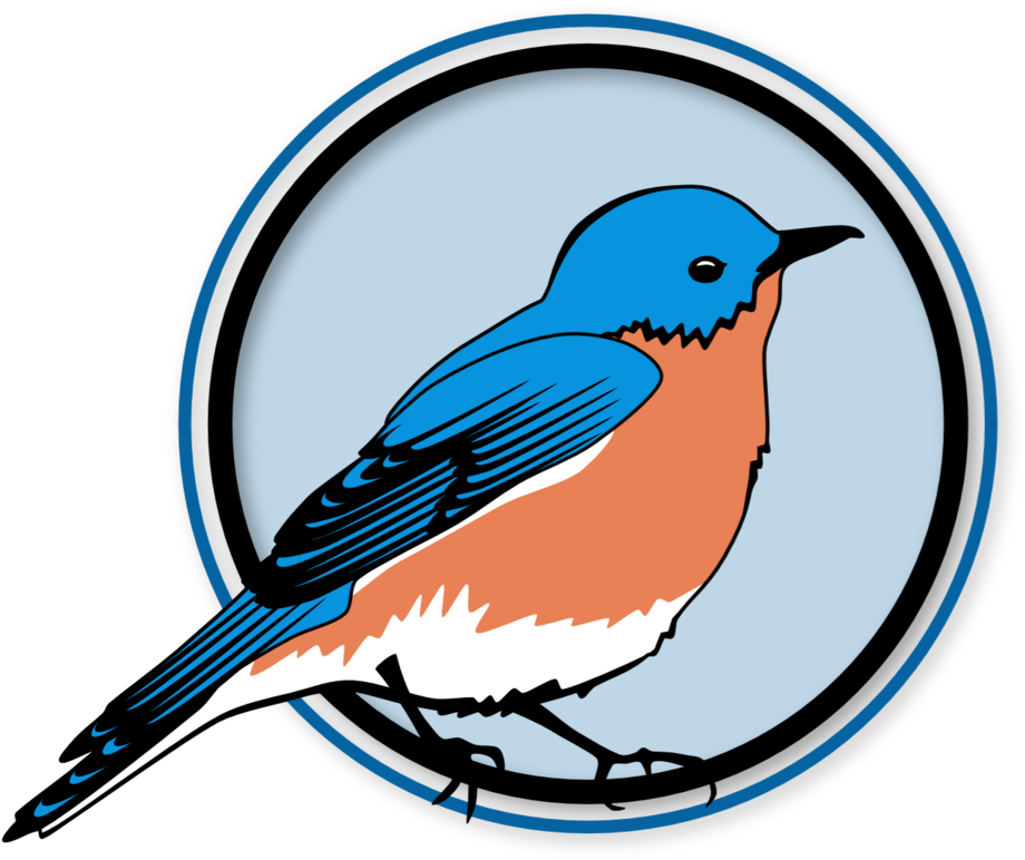 Illustration Eastern Bluebird Png Clipart - Full Size Clipart (#5558997