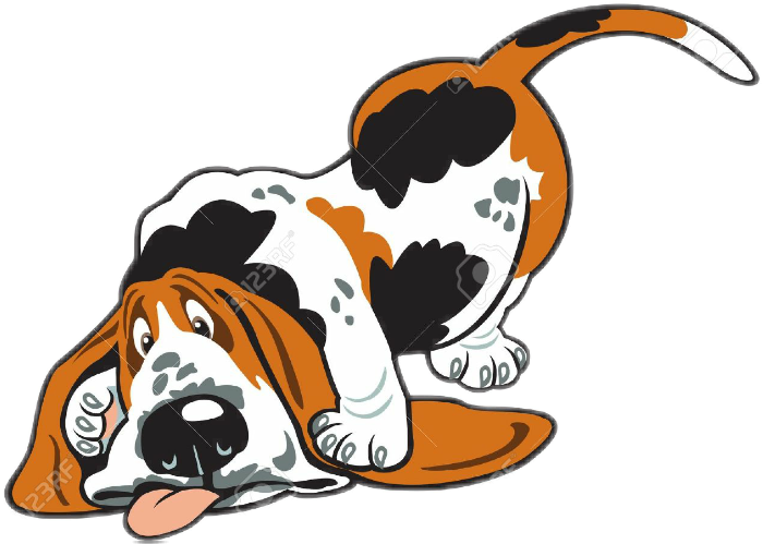 #bassethound #dog #perro #freetoedit #perros - Basset Hound Clipart (700x499), Png Download
