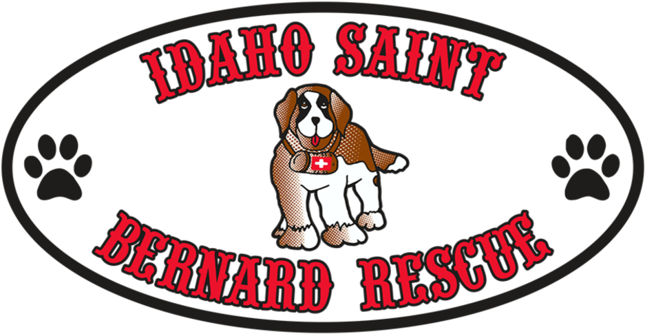 Basset Hound Clipart (1500x500), Png Download