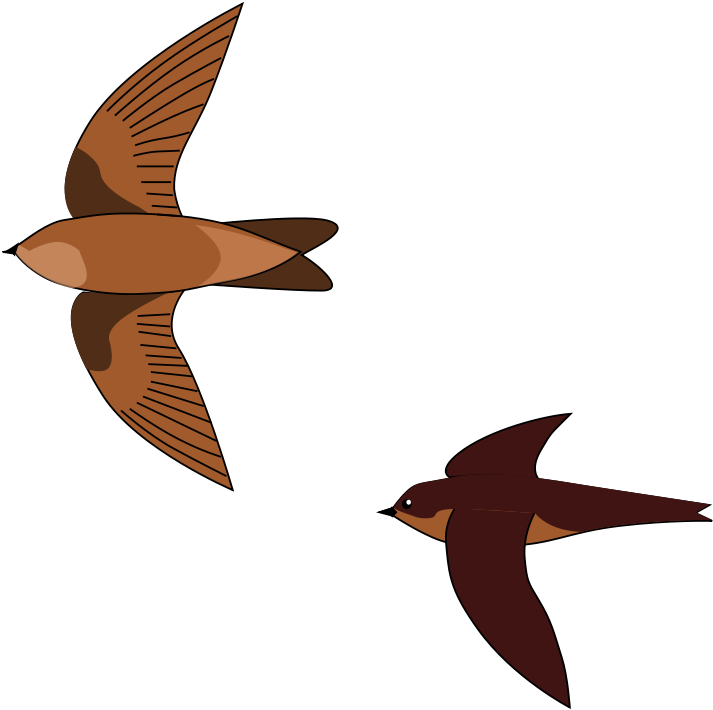 Swiftlet Bird Nest Clipart (1200x1093), Png Download