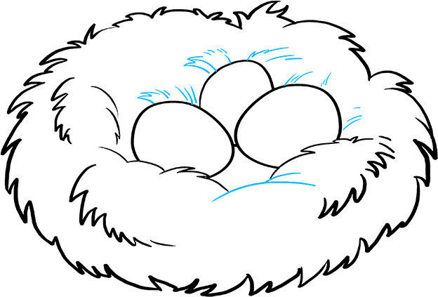 How To Draw A Bird Nest - Draw A Bird Nest Clipart (680x678), Png Download