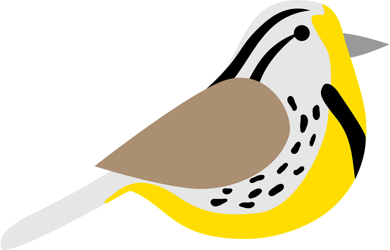 Bird Clipart - Western Meadowlark Clipart - Png Download (800x513), Png Download