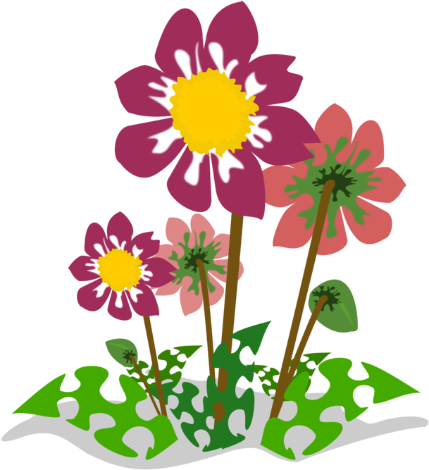 Flowerpot,plant,flora - Flower Nature Clip Art - Png Download (750x750), Png Download