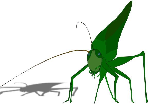 Cartoon Grasshopper With Shadow Png Icons - Grasshopper Clipart Transparent Png (600x600), Png Download