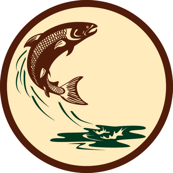 Trout Clipart Atlantic Salmon - Salmon Clip Art Free - Png Download (591x591), Png Download