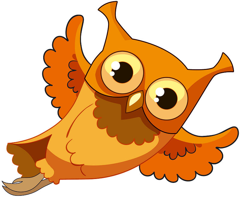 Owl Clipart - Png Download (800x657), Png Download