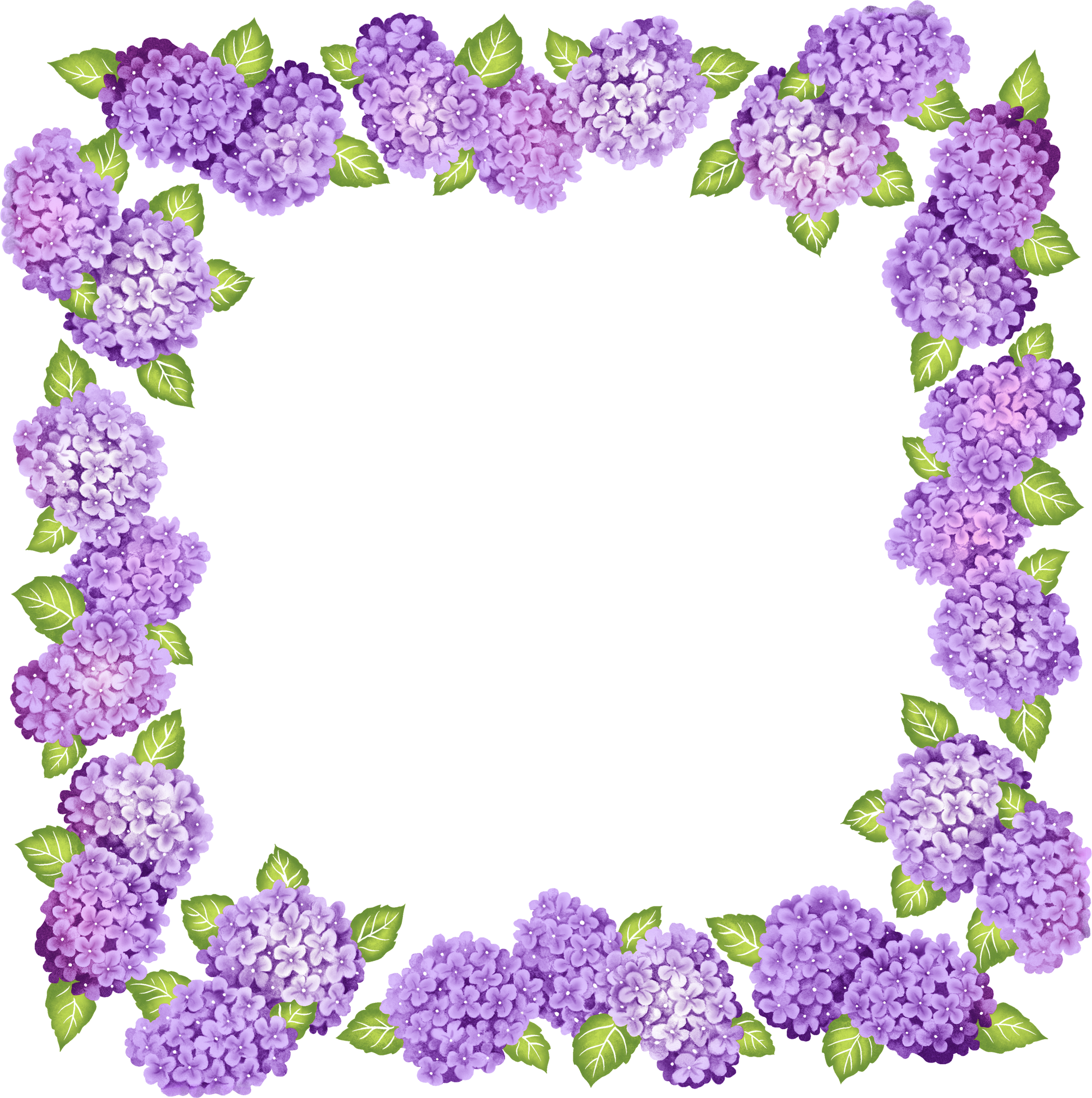 Cute Transparent Purple Flowers Frame - Frame Border For Flower Clipart (2000x2009), Png Download