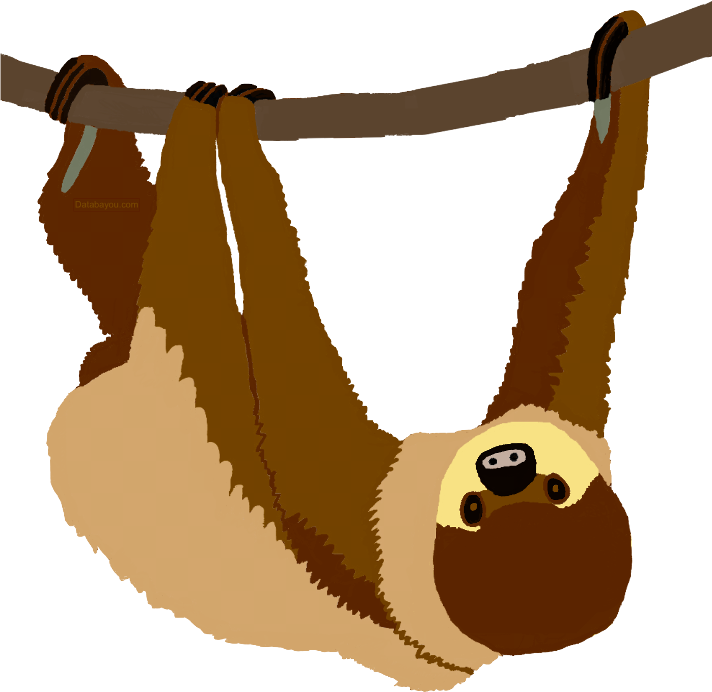 Two-toed Sloth Clipart (1397x1398), Png Download
