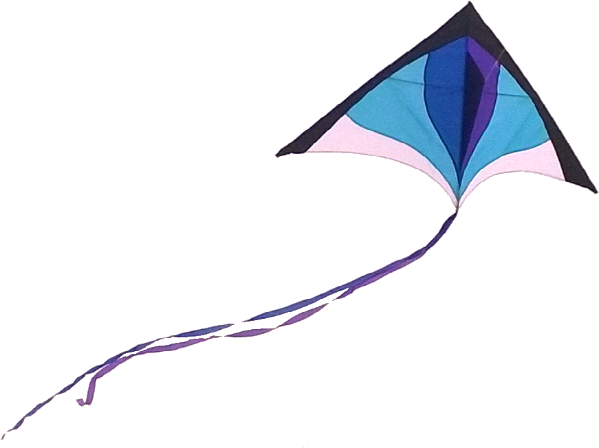 Stuffkidslove Kite Sea Tree Guarantee Registration - Transparent Background Real Kite Png Clipart (886x663), Png Download