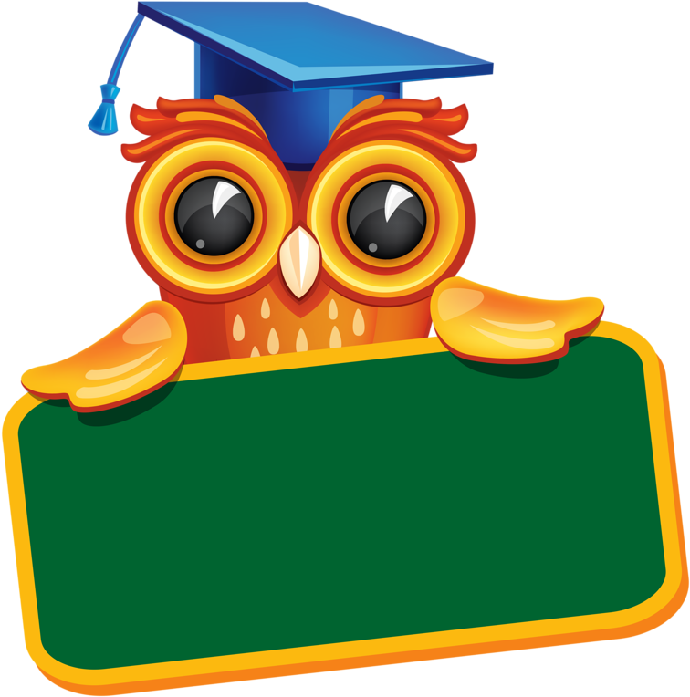 Graduation Owl Png Clipart (778x800), Png Download